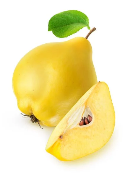 Mela cotogna